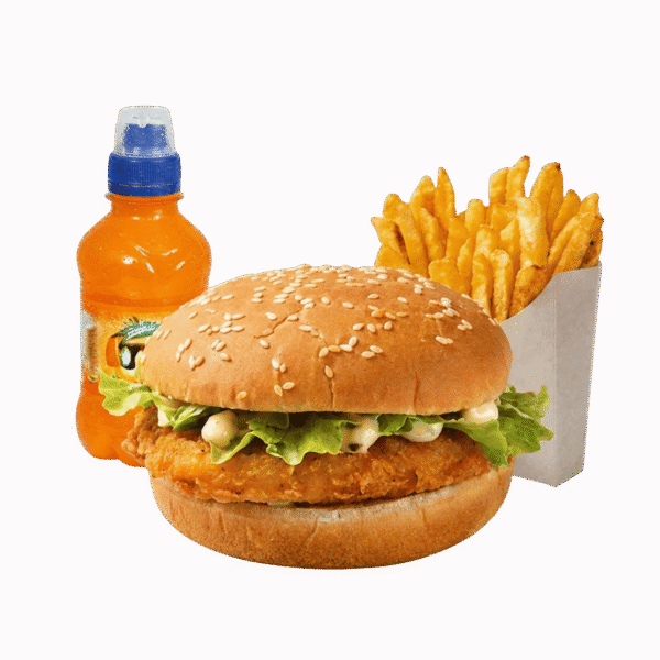 Chicken Steak Burger Fries+Drink