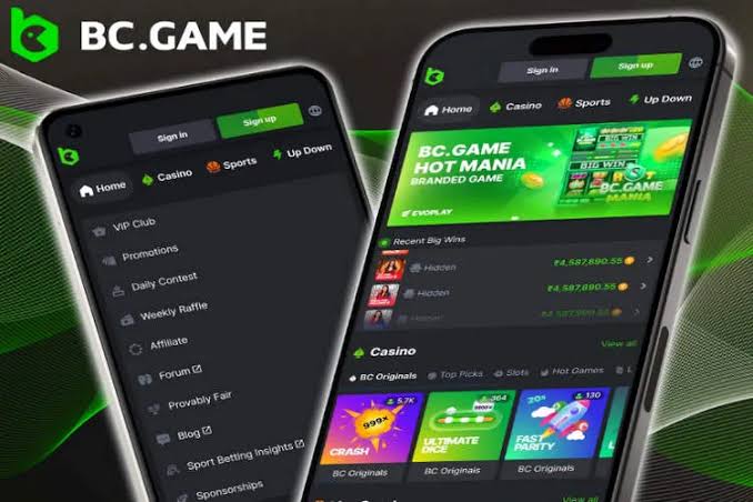 Exploring the BC.Game Mirror Site A Gateway to Online Gaming